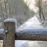 Winter in Lommel